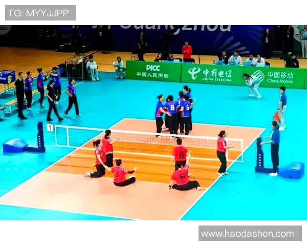 上海排球队的拼搏历程与精英赛背后的故事揭秘