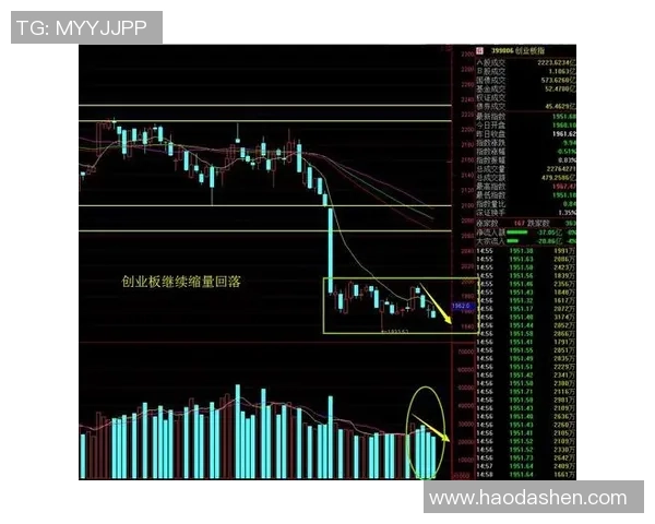 南京排球队与广州排球队赛后复盘分析比赛节奏与关键表现