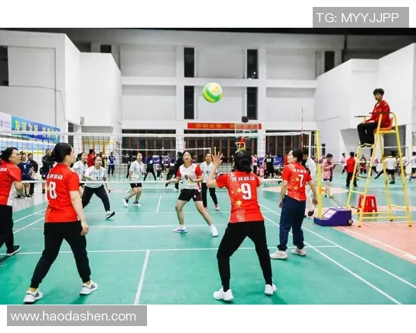 成都排球队实力变革引发热议展现新风貌与未来潜力