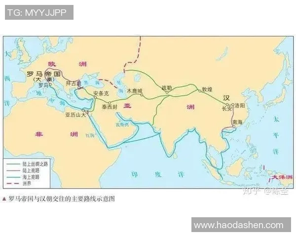广州排球队的实力分析与发展潜力探讨之路