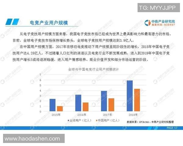 成都飞盘队防反战术创新探索与实践分析全景报告