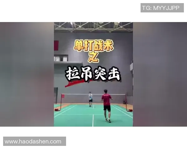 杭州羽毛球队控制打法深度解析与战术运用探讨